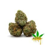 Enigma Extracts - Predator Pink - Smalls