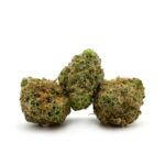 Enigma Extracts - Predator Pink - Smalls