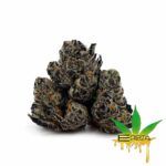 Enigma Extracts - Unicorn Factory - Smalls