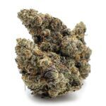 Enigma Extracts - Stank House