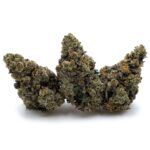 Enigma Extracts - Stank House