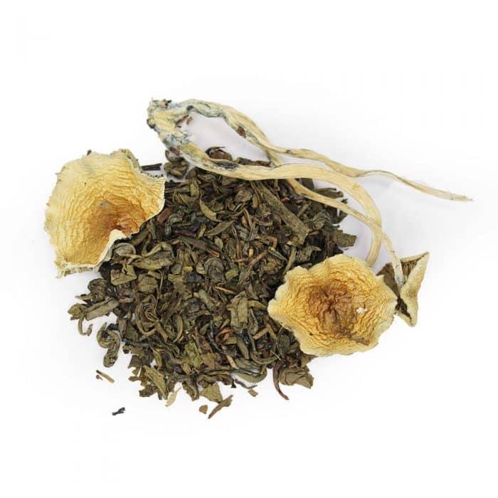 Euphoria Psychedelics - Shroom Tea - 3000mg