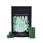 Euphoria Psychedelics - Gummies - 6000mg