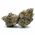 Enigma Extracts - Gummy Buns