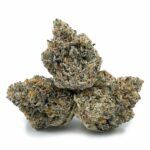 Enigma Extracts - Gummy Buns