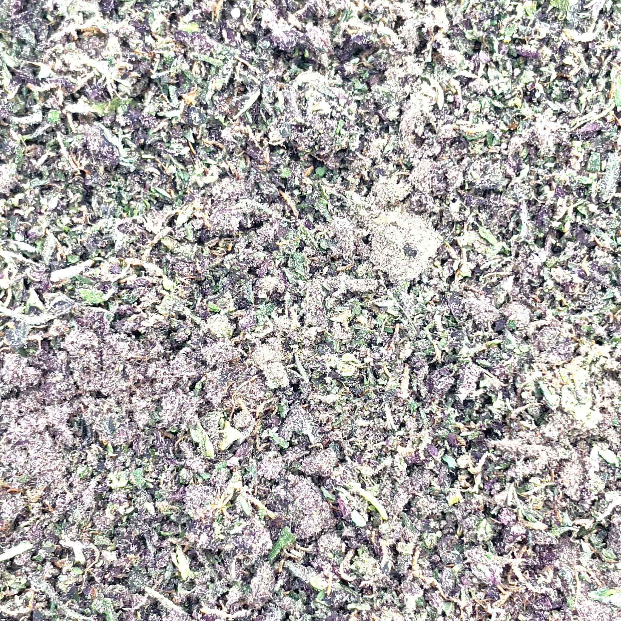 Granddaddy Purple - Shake