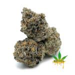 Enigma Extracts - Gummy Buns