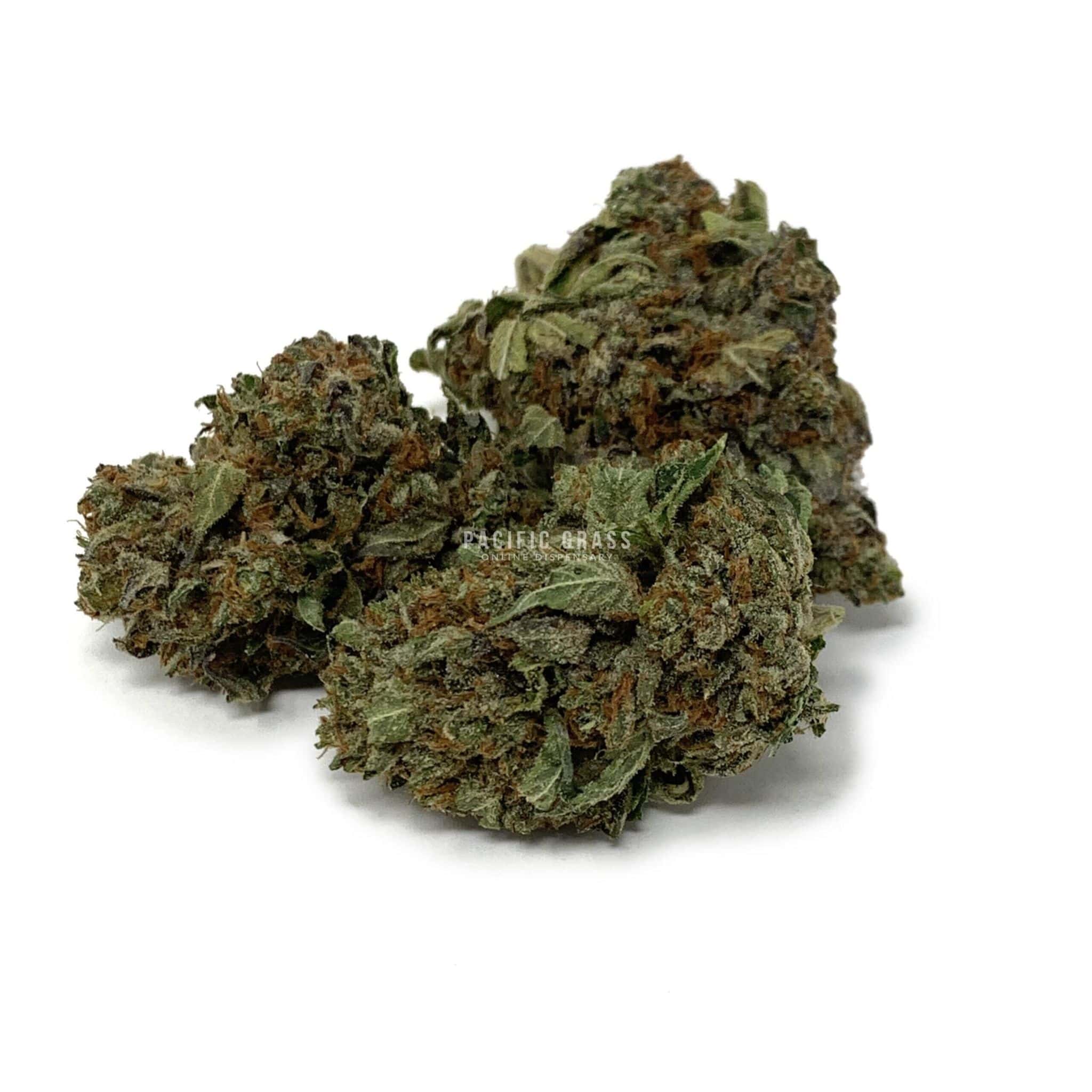 Sun Peaks Cultivation - Black Water