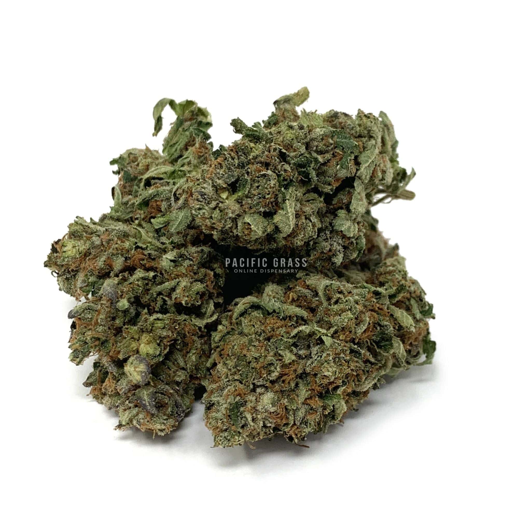 Sun Peaks Cultivation - Black Water