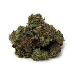 Sun Peaks Cultivation - Blue Fin Tuna