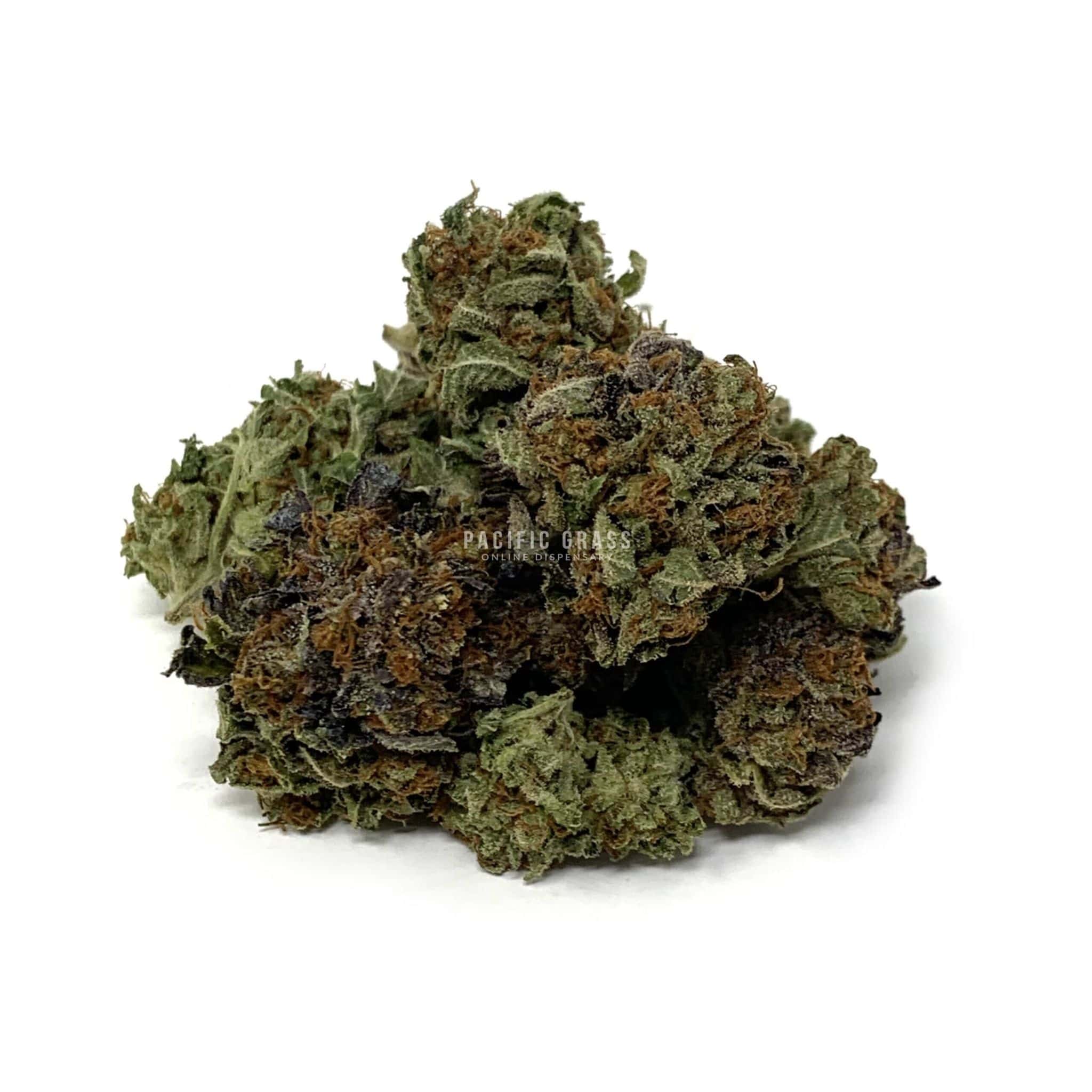 Sun Peaks Cultivation - Blue Fin Tuna