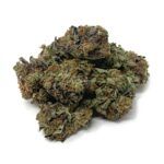 Sun Peaks Cultivation - Blue Fin Tuna