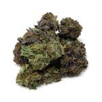 Sun Peaks Cultivation - Blue Fin Tuna