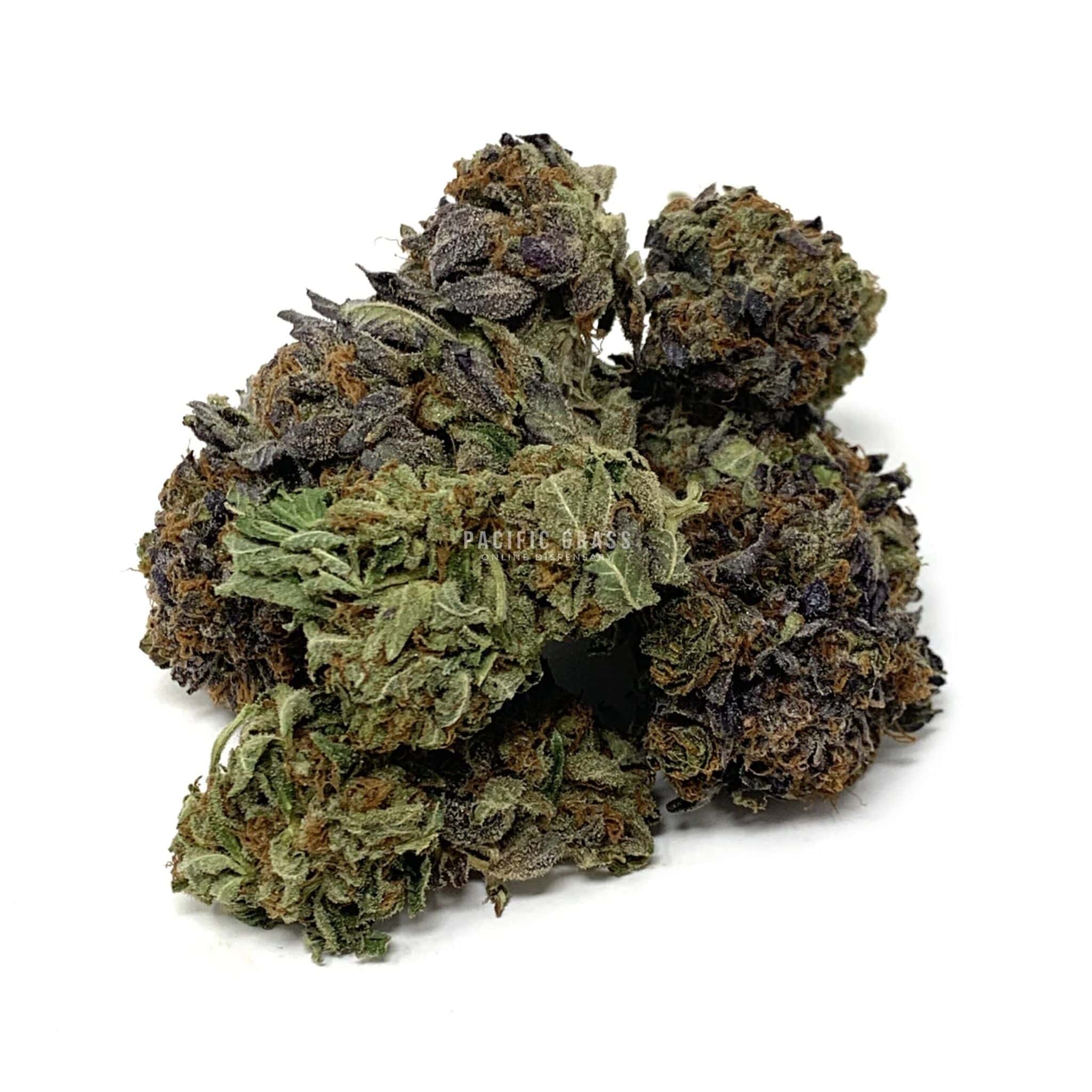 Sun Peaks Cultivation - Blue Fin Tuna