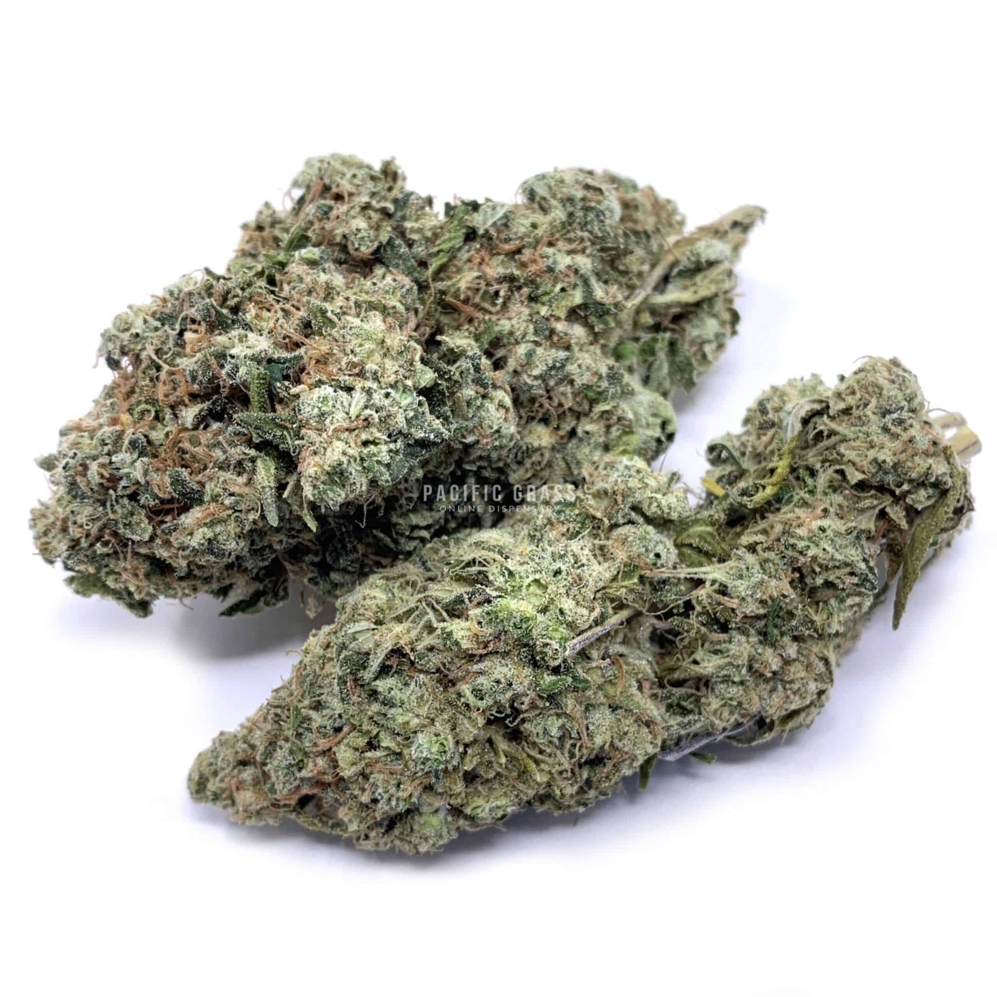 Enigma Extracts - Copper Chem