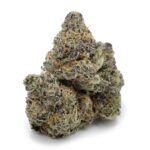 Sun Peaks Cultivation - Cheese Quake