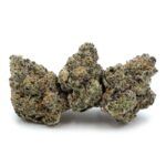 Sun Peaks Cultivation - Cheese Quake