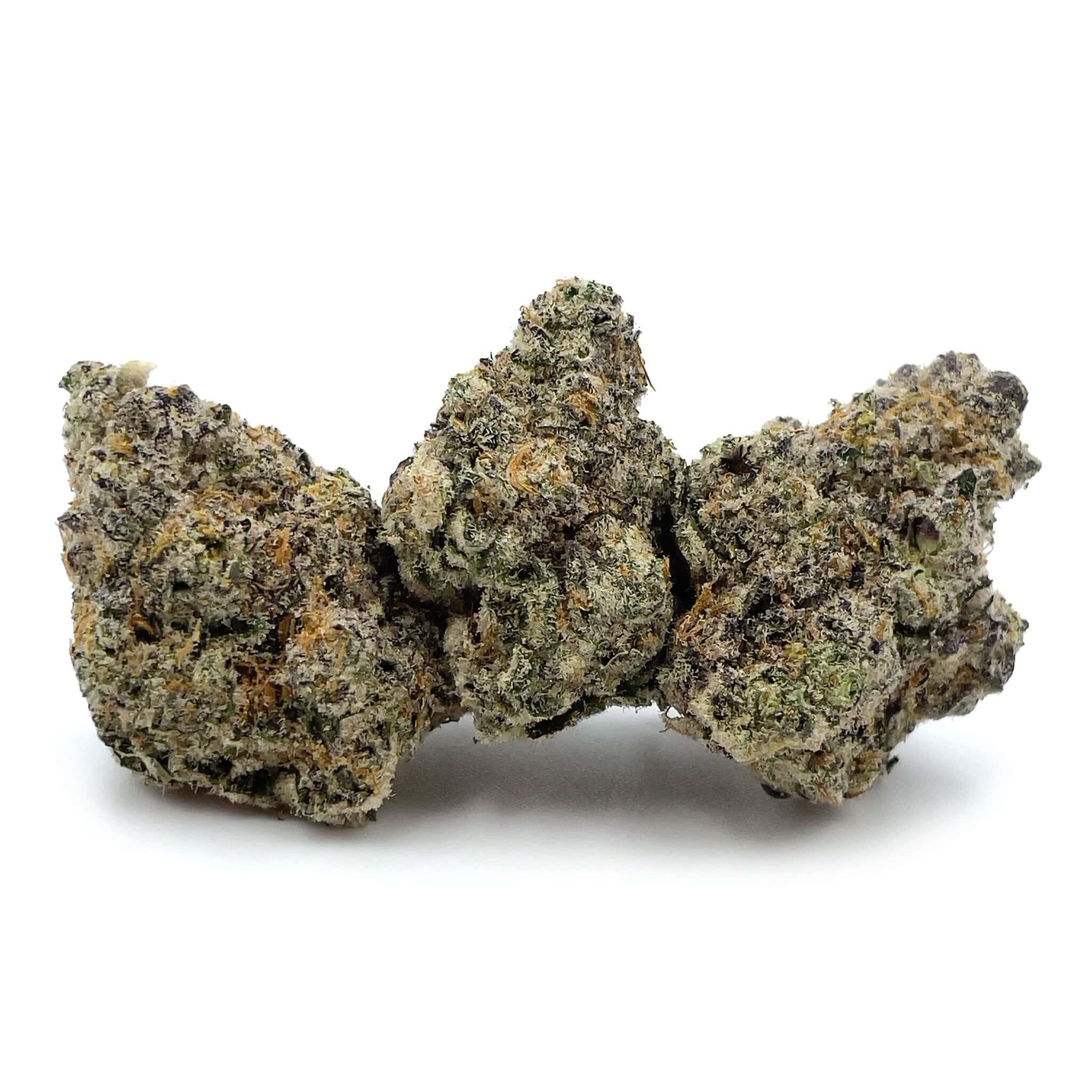 Sun Peaks Cultivation - Cheese Quake