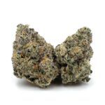 Sun Peaks Cultivation - Cheese Quake