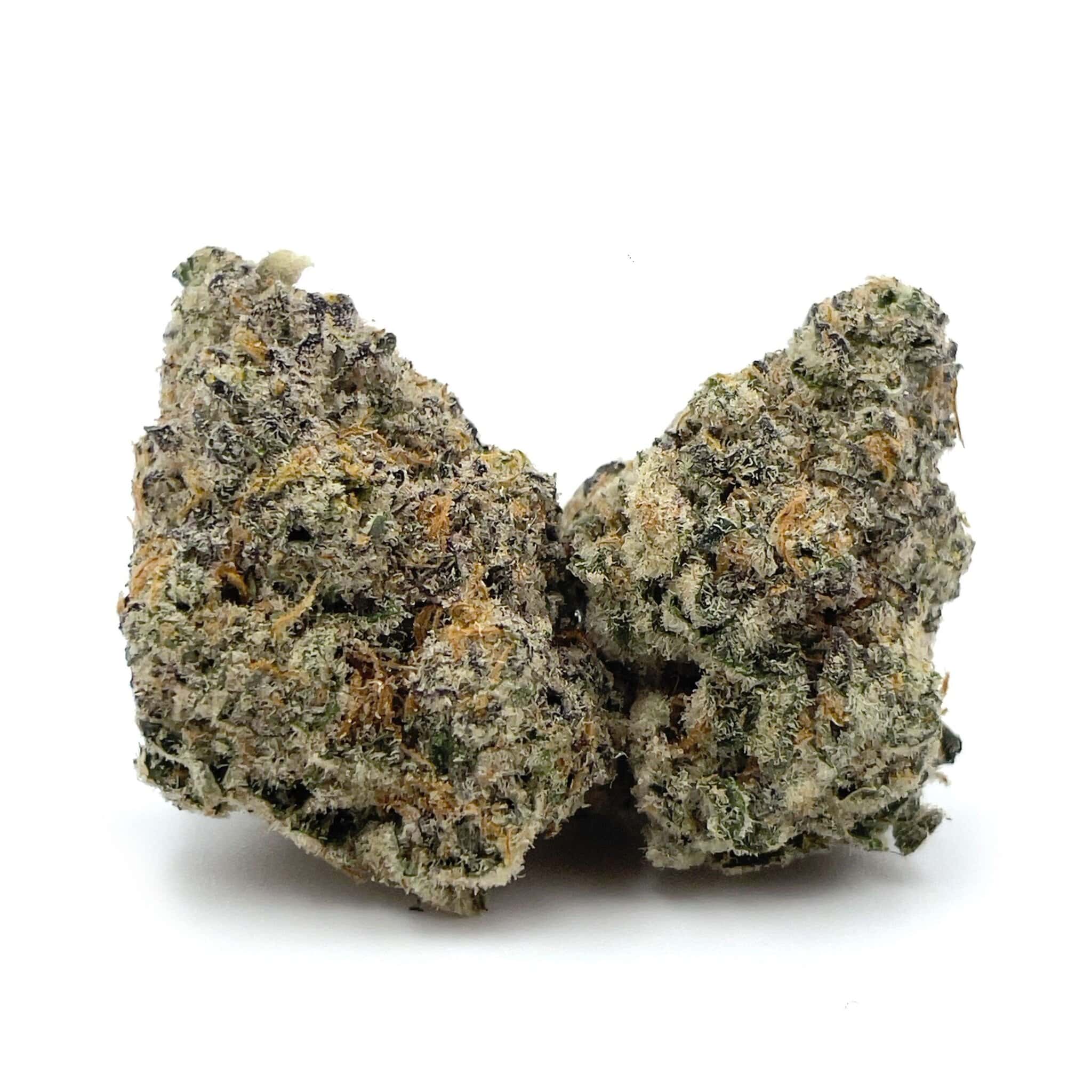 Sun Peaks Cultivation - Cheese Quake