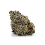 Sun Peaks Cultivation - Cheese Quake