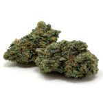 Enigma Extracts - Chocolate Nightmare