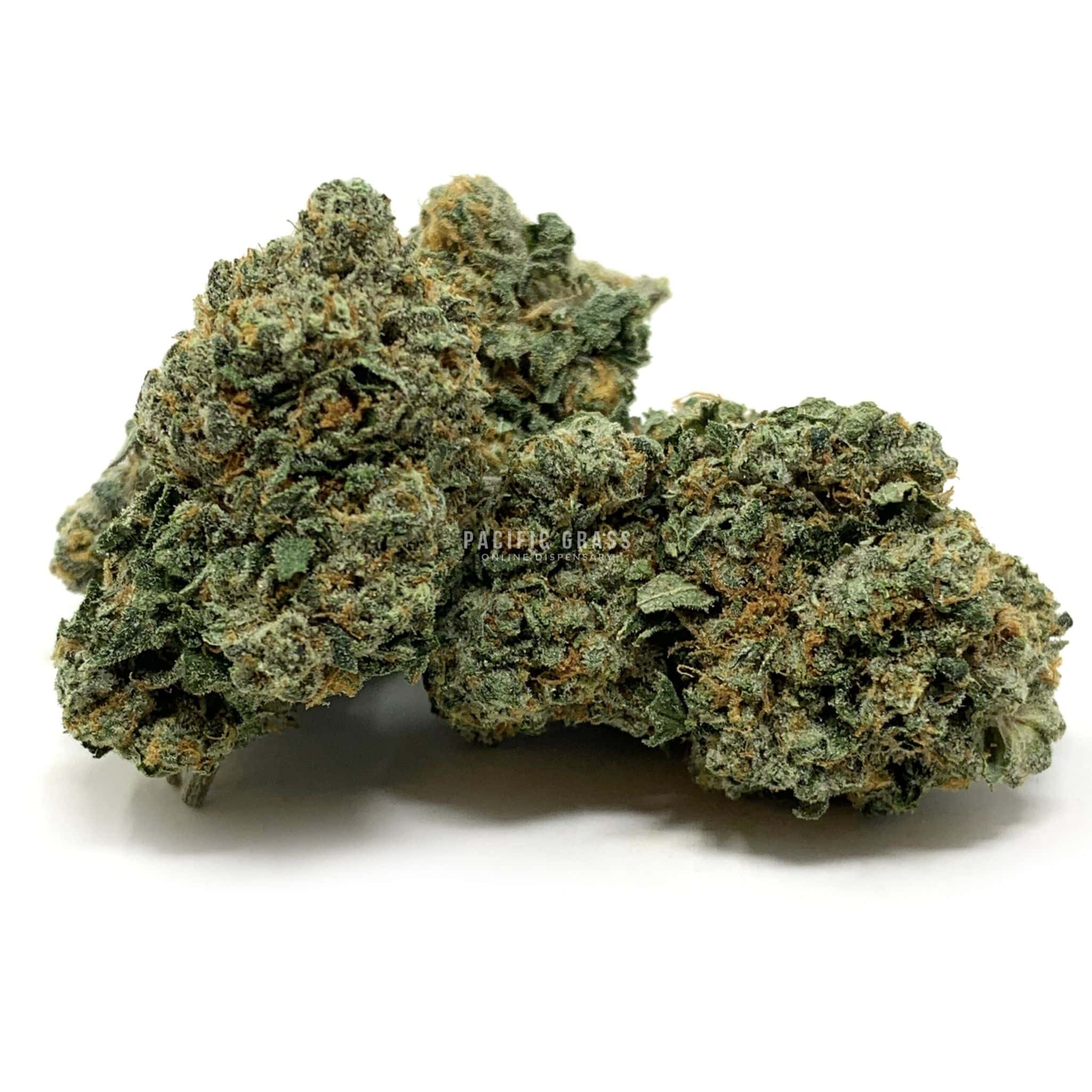 Enigma Extracts - Chocolate Nightmare