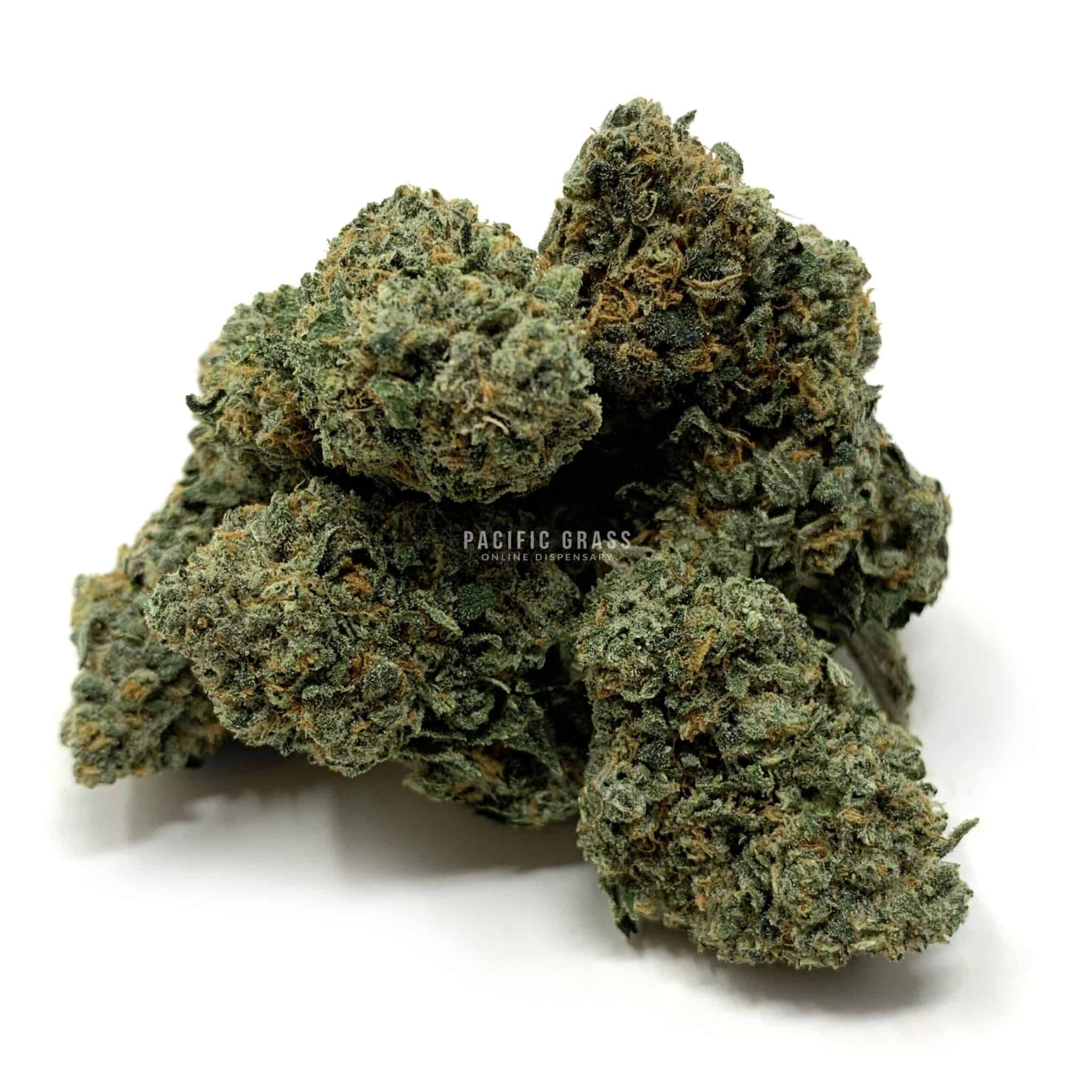 Enigma Extracts - Chocolate Nightmare