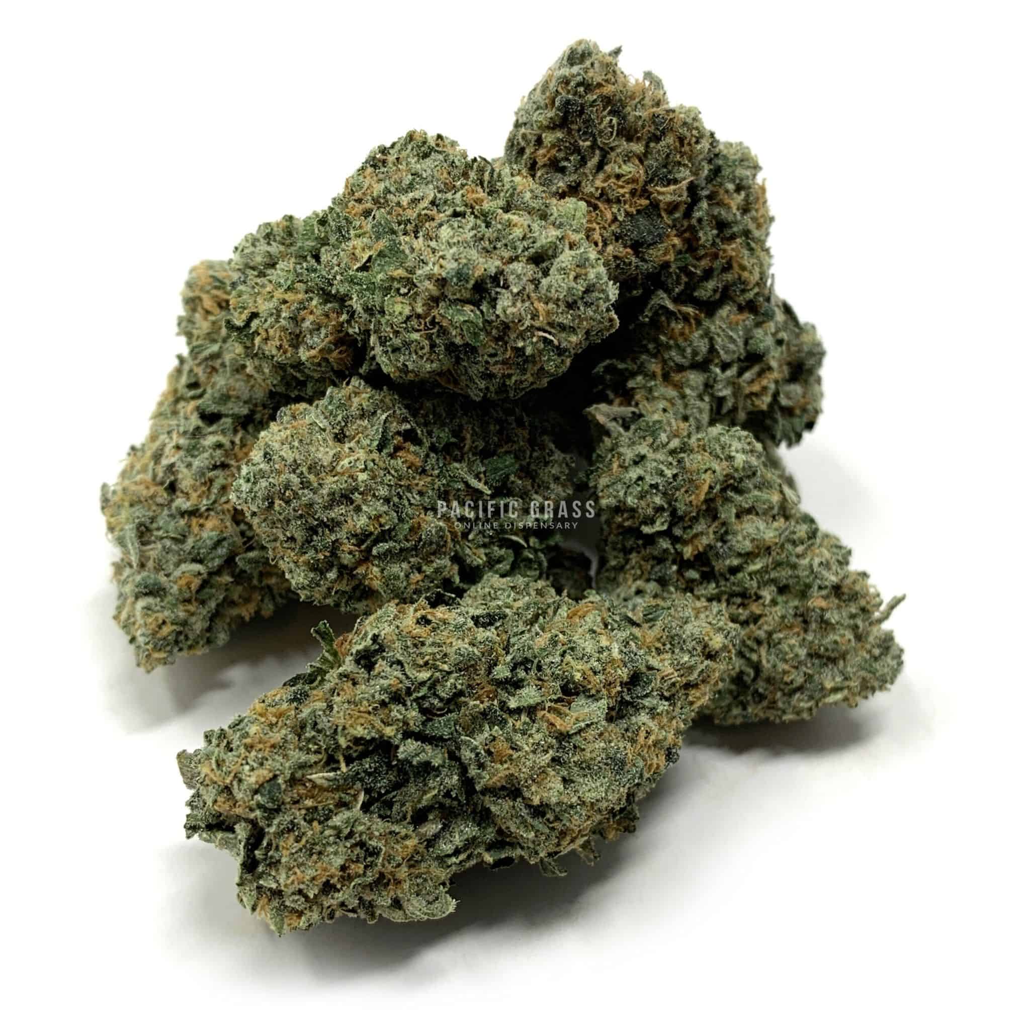 Enigma Extracts - Chocolate Nightmare