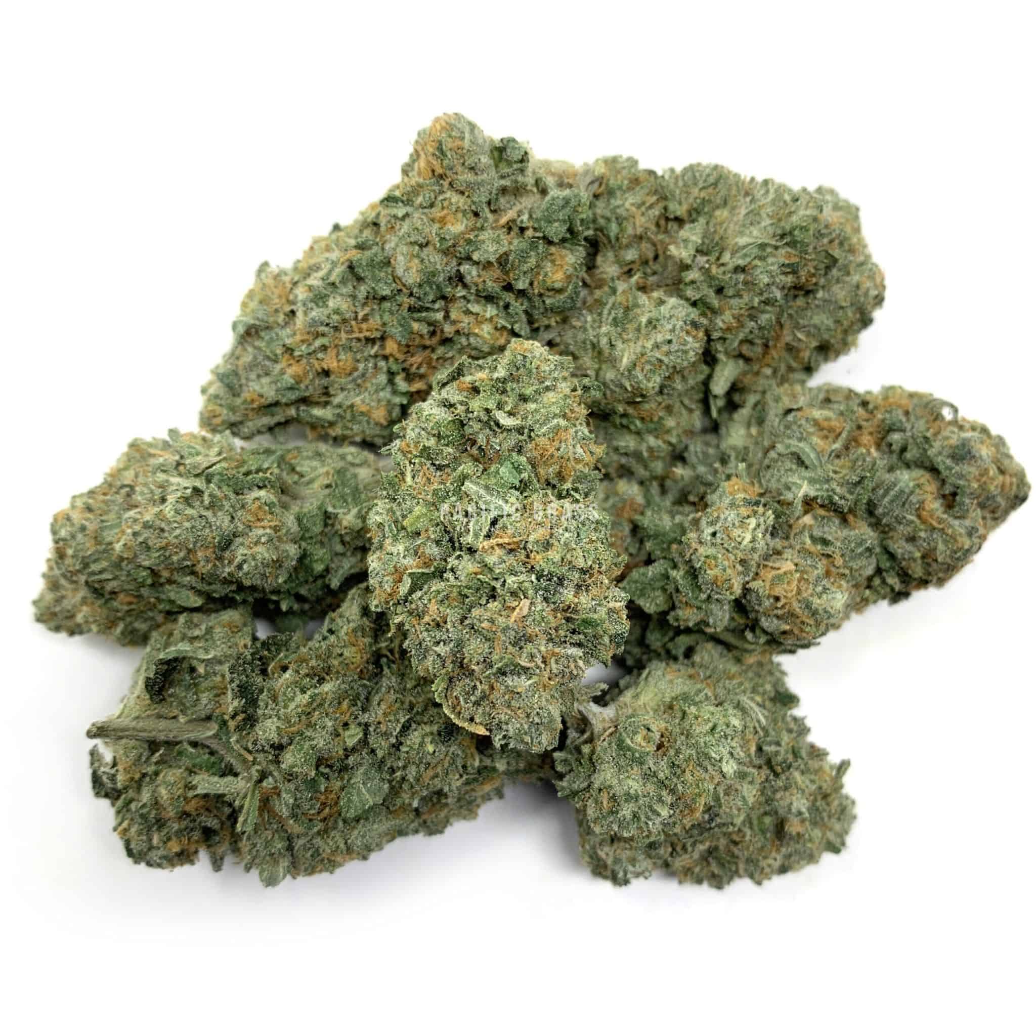 Enigma Extracts - Chocolate Nightmare