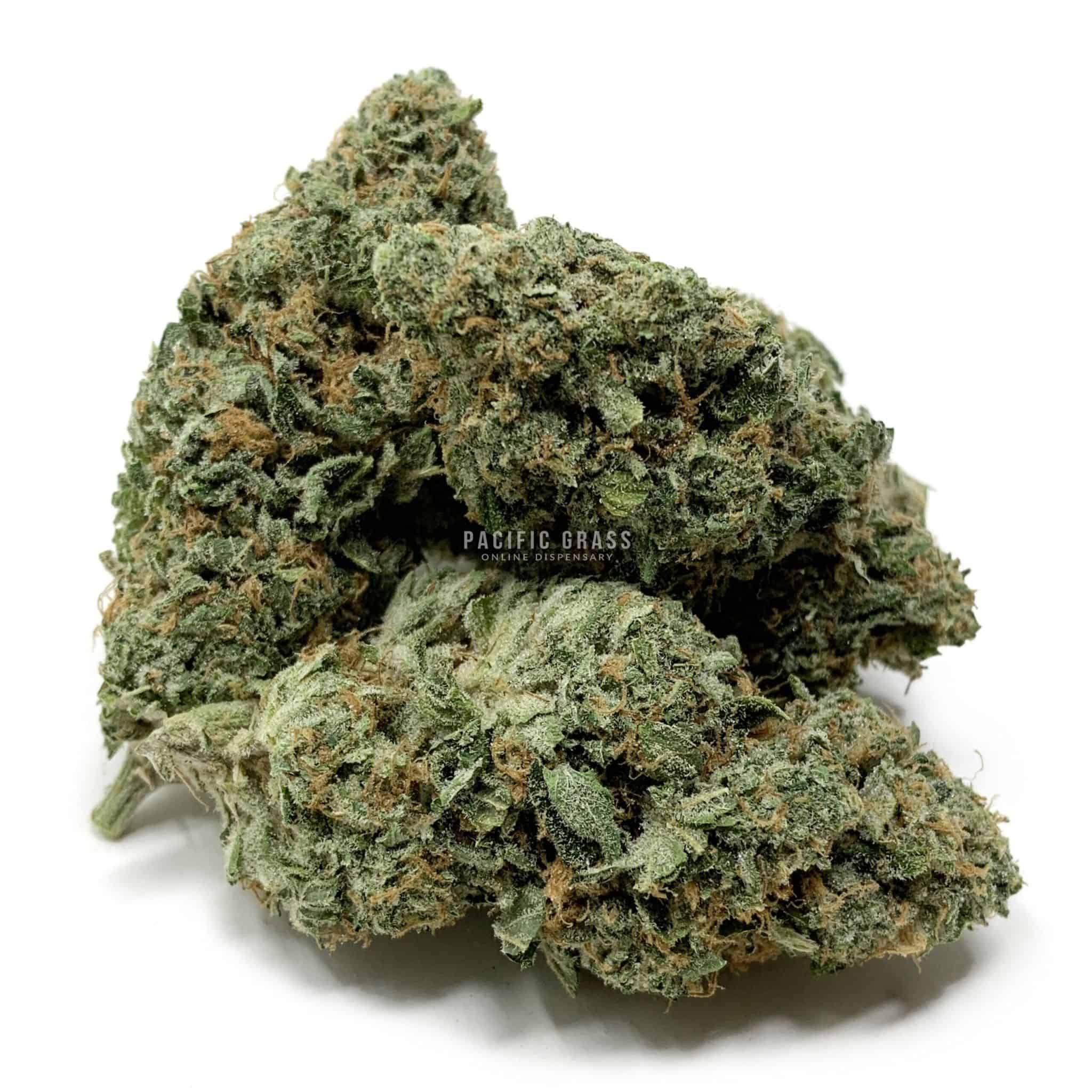 Enigma Extracts - Watermelon Zkittlez