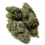 Enigma Extracts - Watermelon Zkittlez