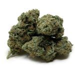 Enigma Extracts - Watermelon Zkittlez