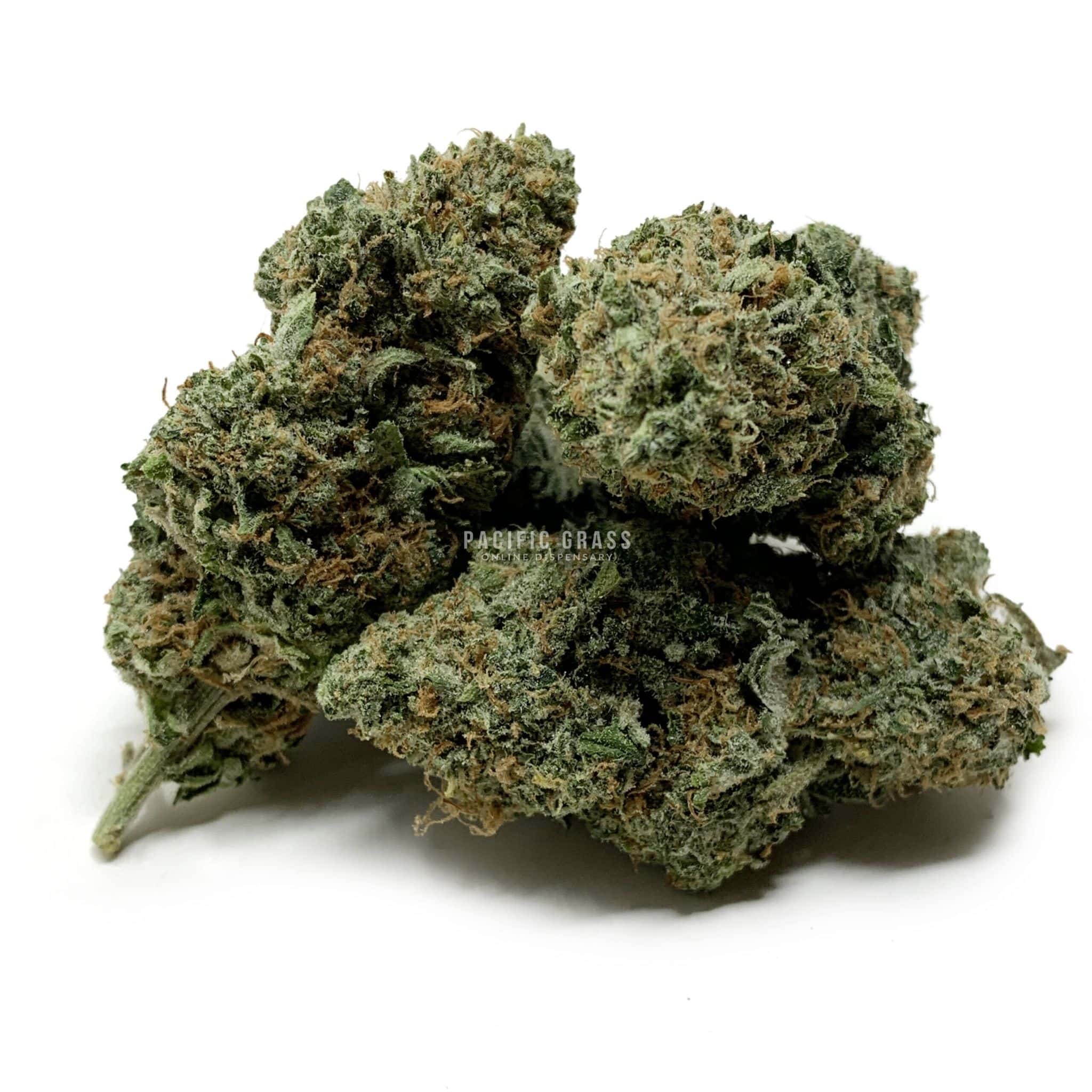 Enigma Extracts - Watermelon Zkittlez