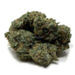 Enigma Extracts - Watermelon Zkittlez