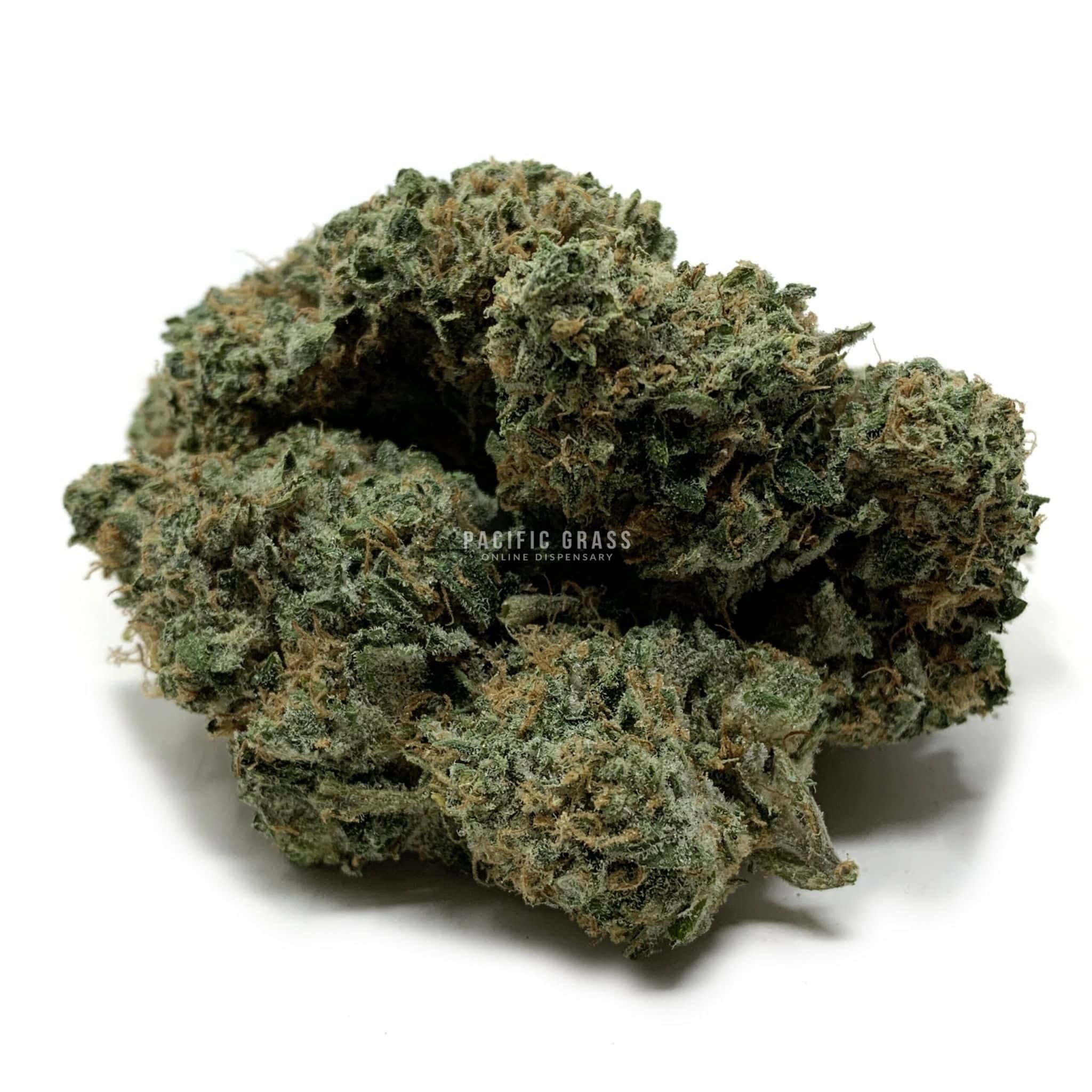 Enigma Extracts - Watermelon Zkittlez