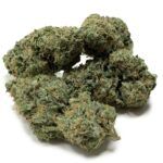 Enigma Extracts - Watermelon Zkittlez