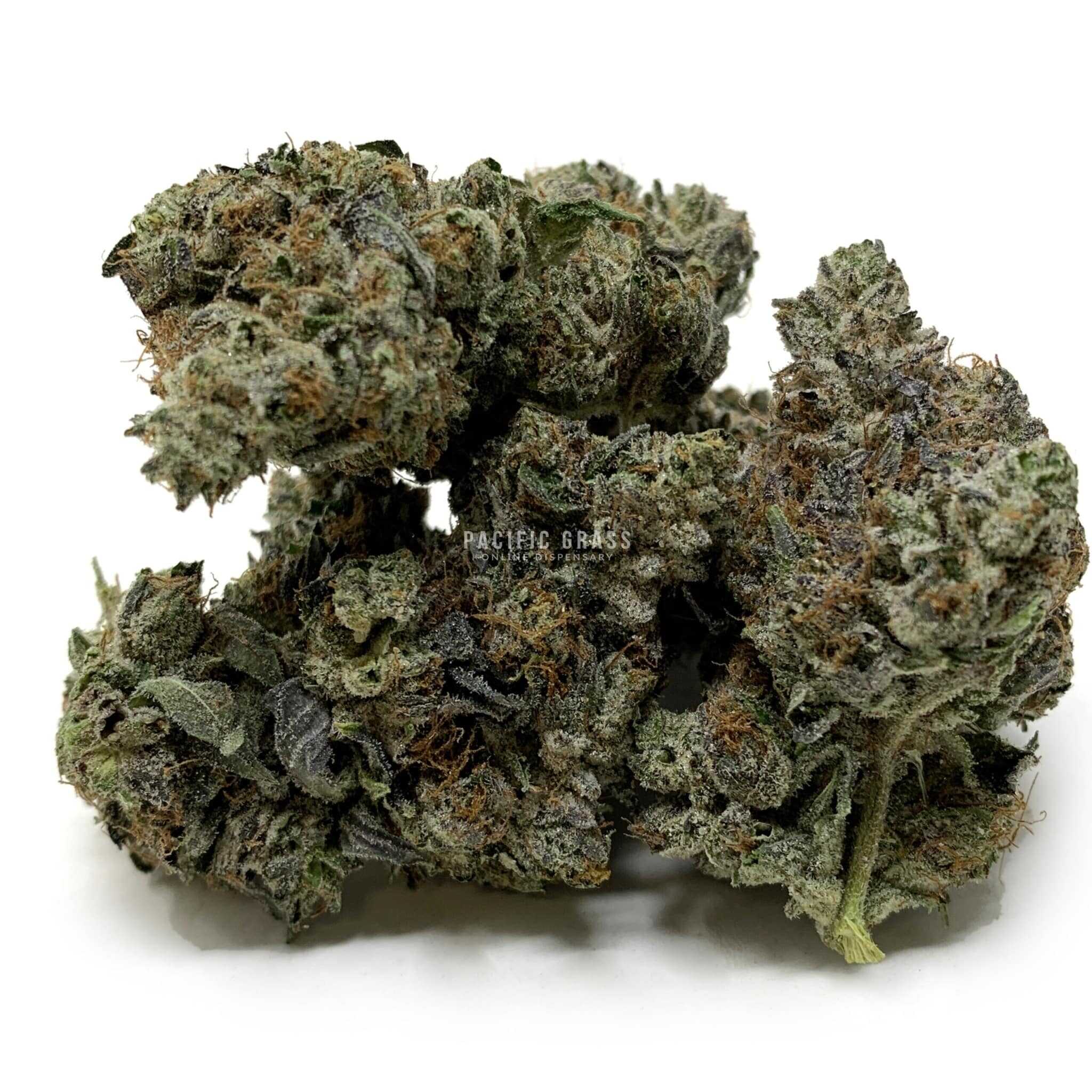 Enigma Extracts - Skywalker OG