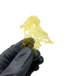 Chocolope Shatter