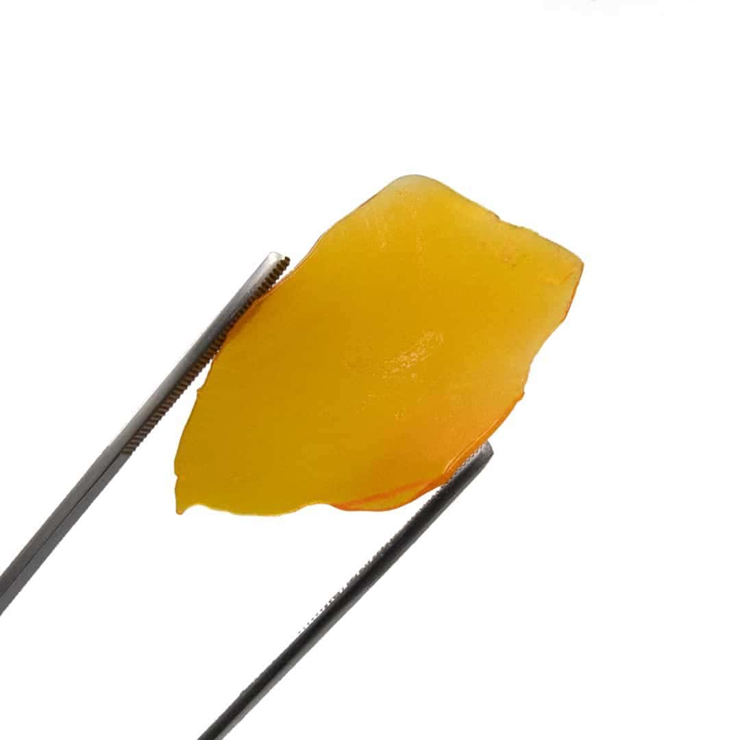 Lemon OG Shatter