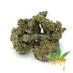 Enigma Extracts - MAC - AAAA