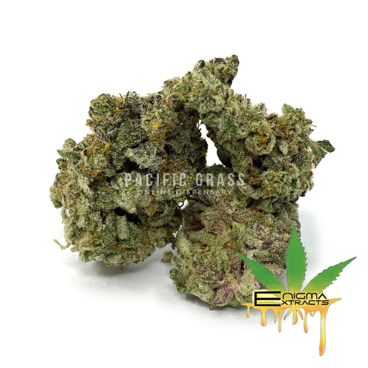 Enigma Extracts – MAC – AAAA