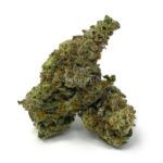 Enigma Extracts - MAC - AAAA