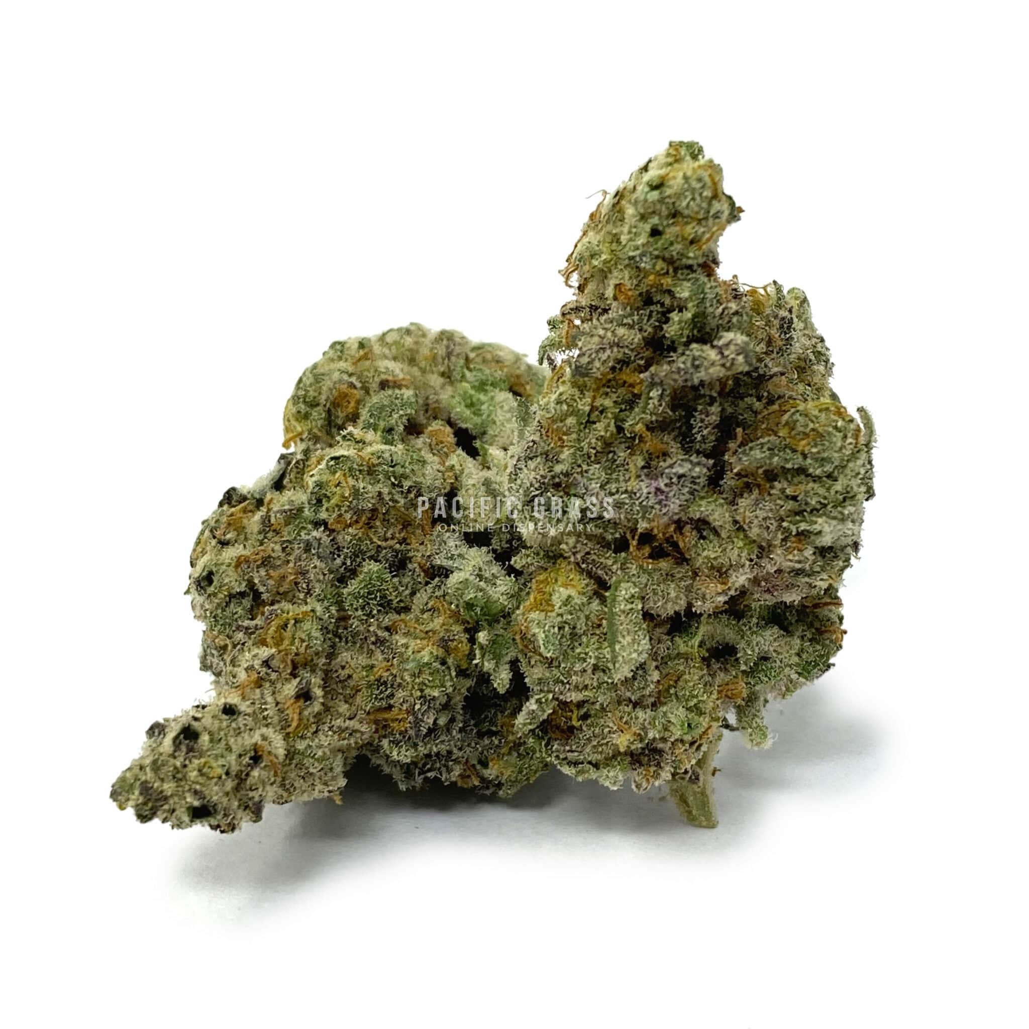 Enigma Extracts - MAC - AAAA