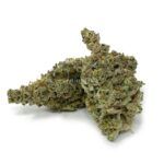 Enigma Extracts - MAC - AAAA