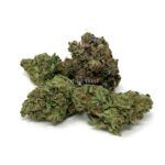 Enigma Extracts - MKU