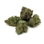 Enigma Extracts - MKU