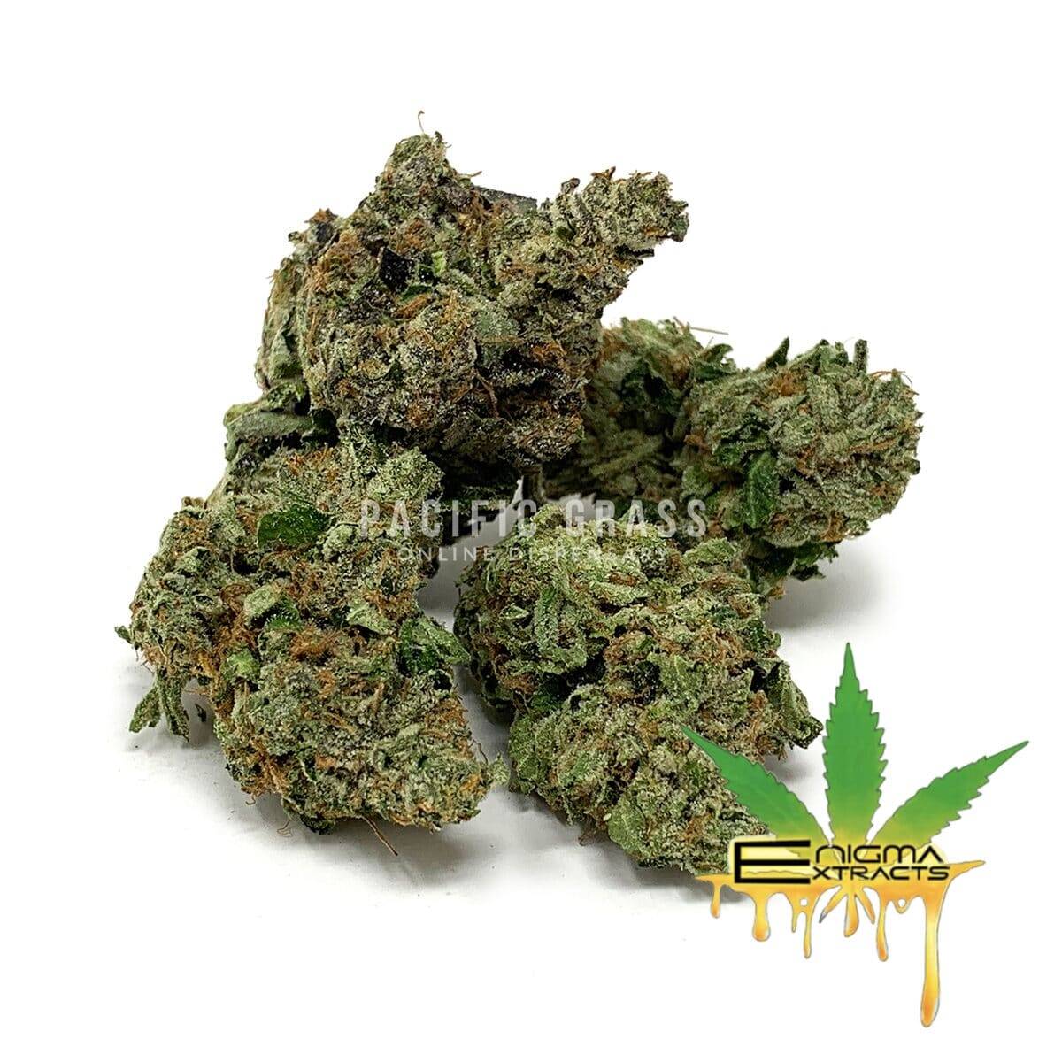 Enigma Extracts - MKU