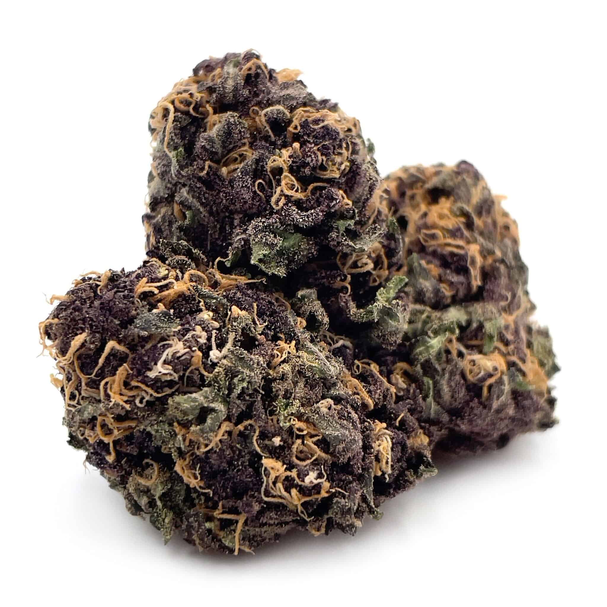 Mendo Purple