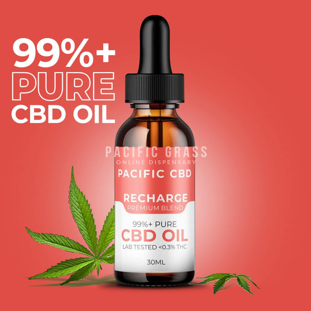 Pacific CBD Tincture – Premium Blend – Recharge